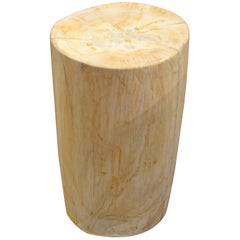 Antique Andrianna Shamaris Petrified Wood Side Table