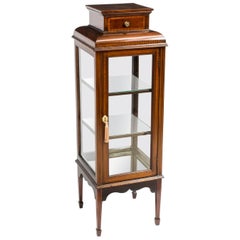 19th Century Edwardian Square Vitrine Display Cabinet