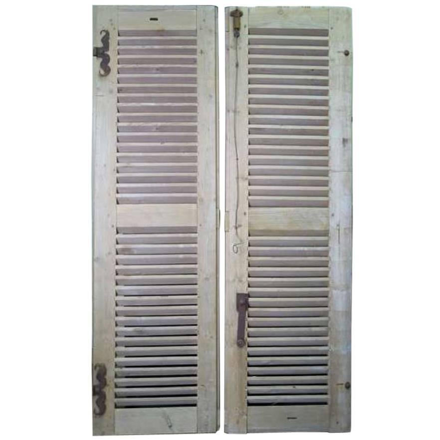 Pair of 19th century Shutters from France