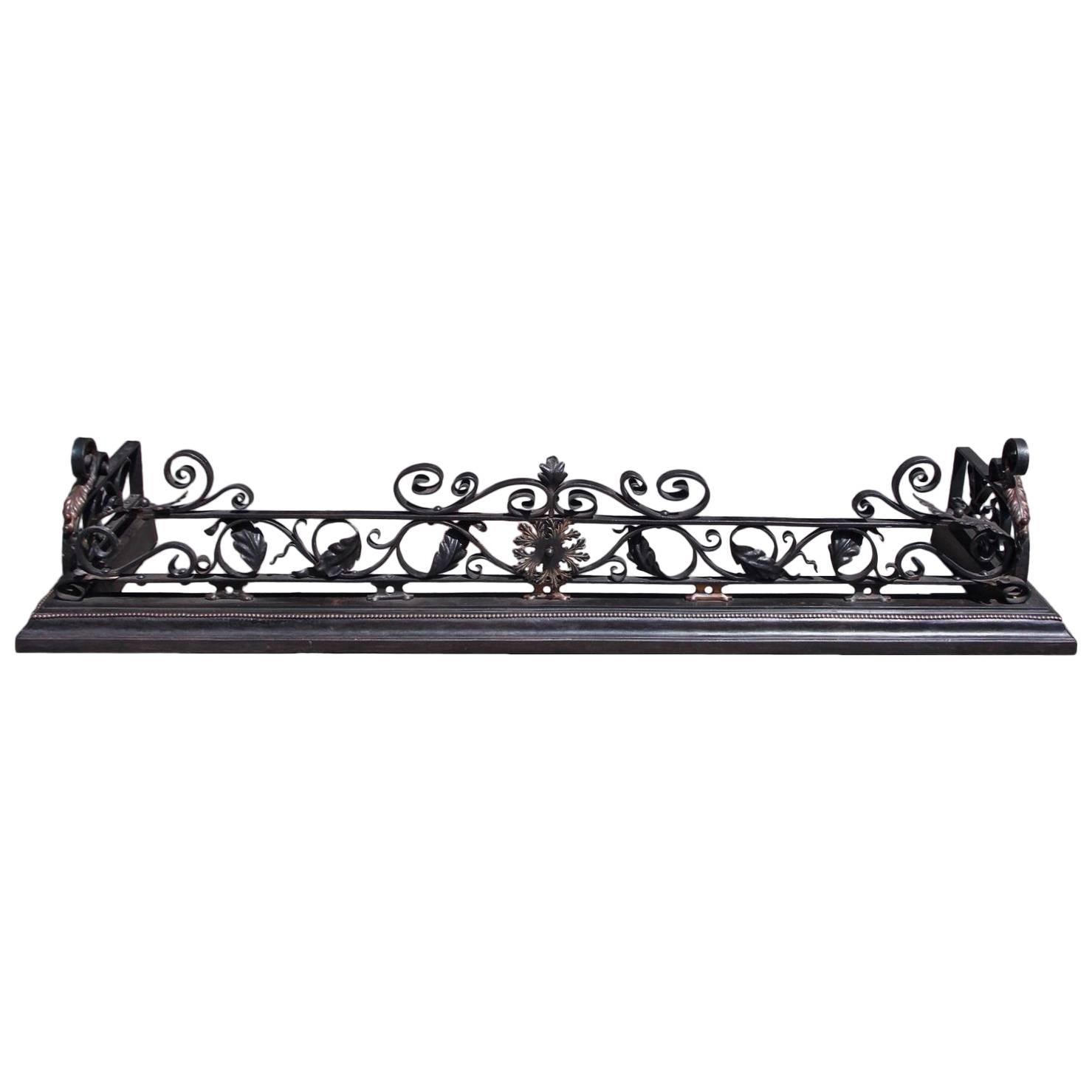 English Cast Iron and Copper Acanthus Leaf Fire Place Fender, Circa 1830
