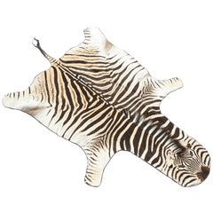 Zebra Rug 6
