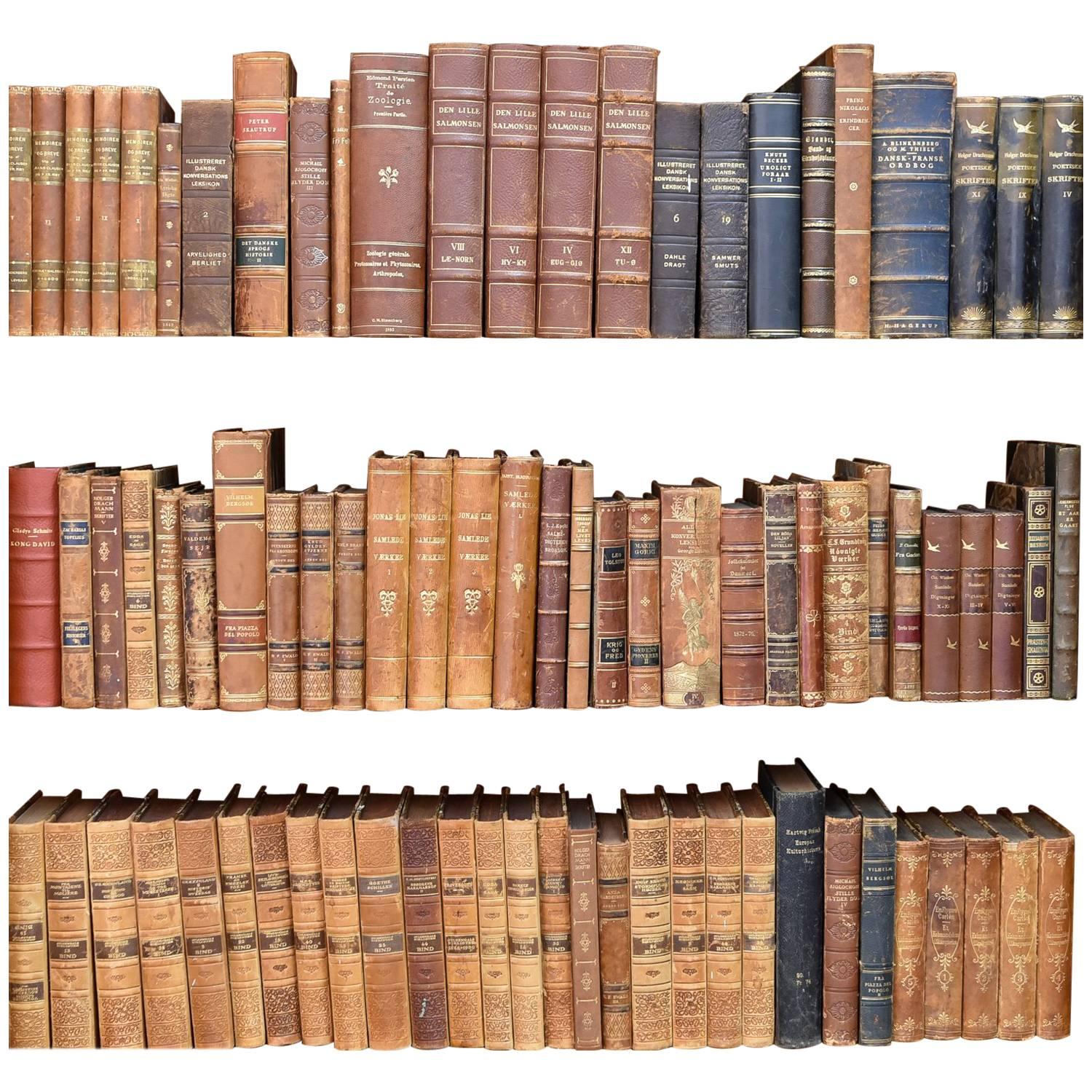 Early 20th Century and Earlier Danish Leather Bound Books