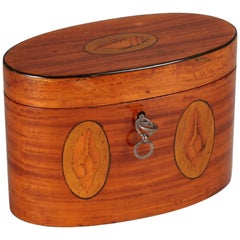 George III Period Satinwood Oval Tea-Caddy