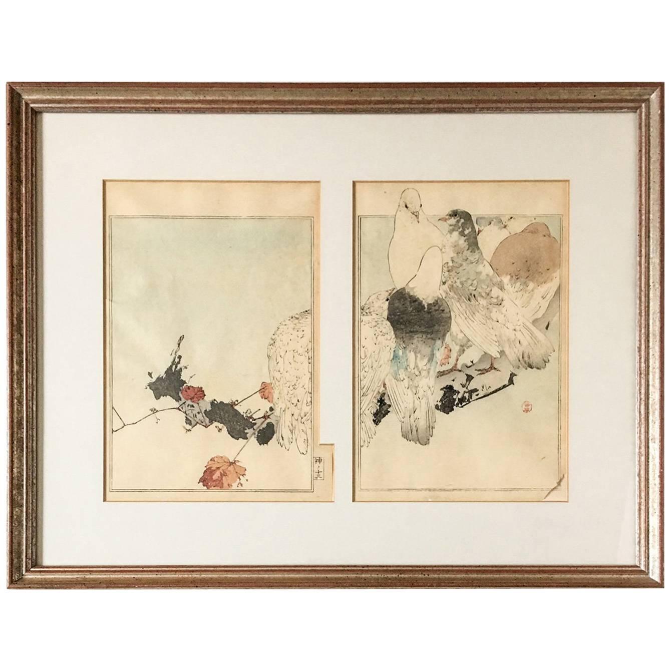 1960s Japanese Pen and Watercolor Painting of Five Pigeons on a Branch