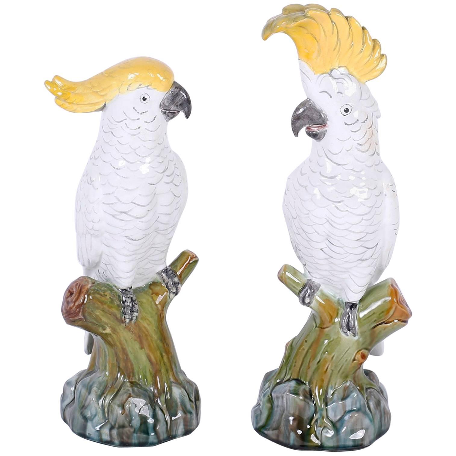 Amusing Pair of Glazed Terra Cotta Cockatoo Birds