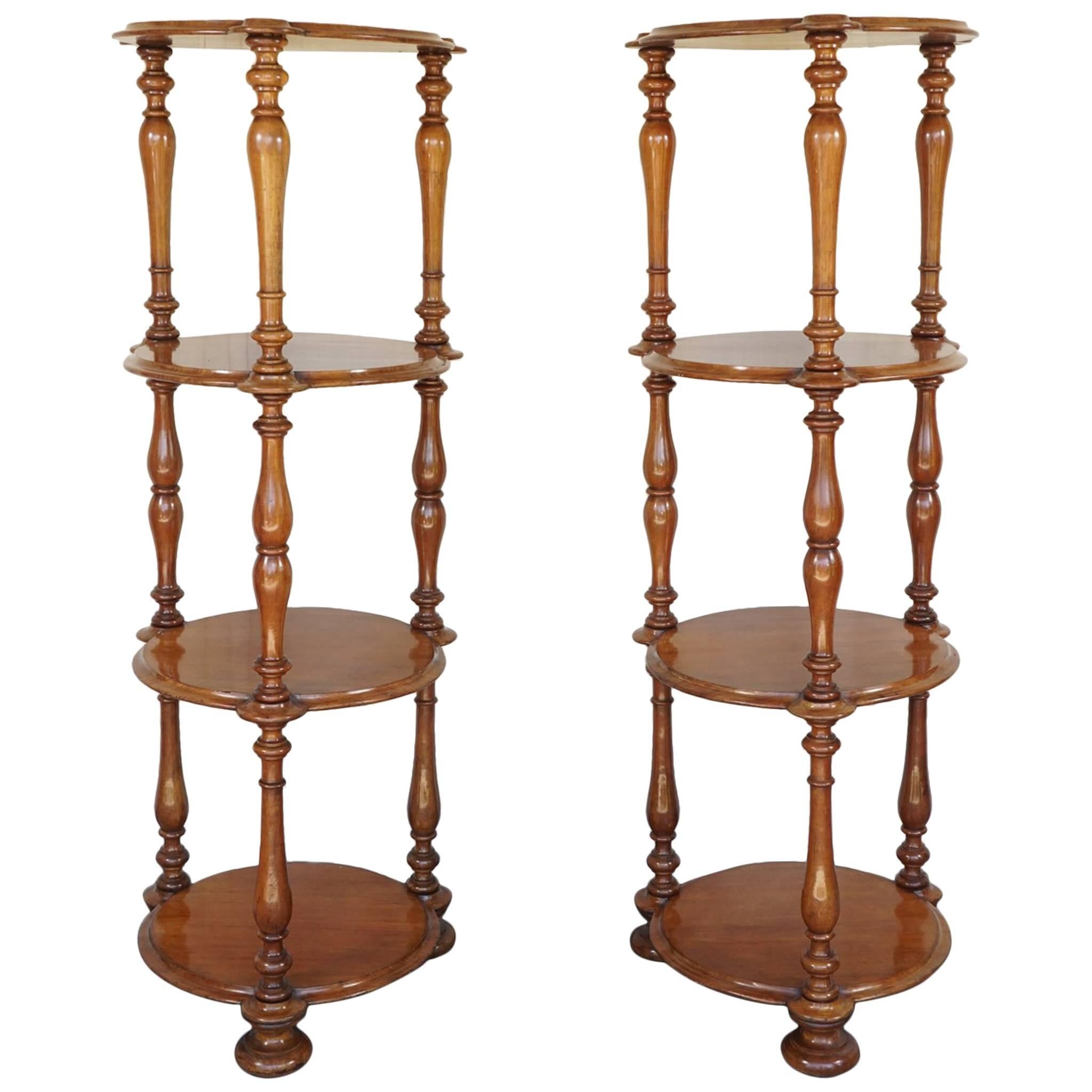 Pair of 19th Century English Mahogany Early Victorian Étagère’s