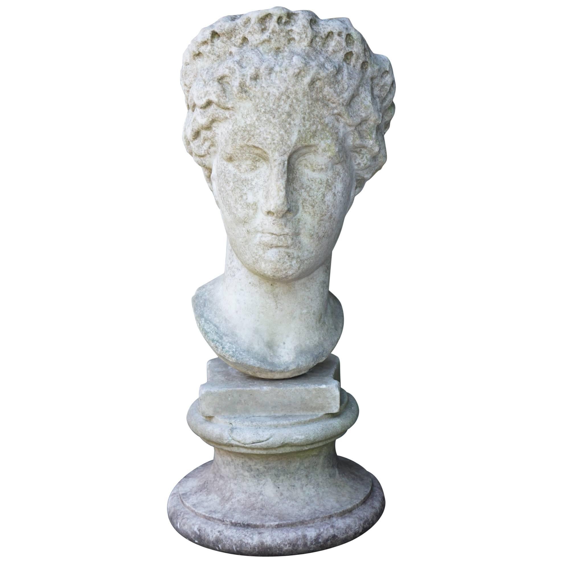 Italian 19th Century Carved Marble Bust after the Antique