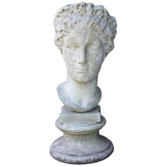 Italian 19th Century Carved Marble Bust after the Antique