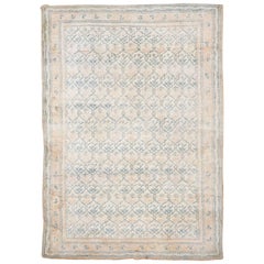 Antique Indian Cotton Agra Rug, circa 1920