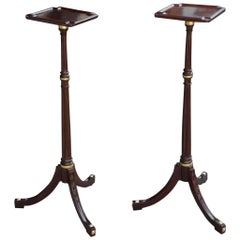 Antique Pair of Period George III Carved and Gilded Mahogany Plant or Candle Stands