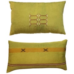 Pair of Cactus Silk Pillows