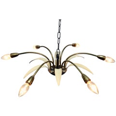 Brass Stilnovo Style Spider Chandelier, 1950s