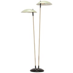 Mid-Century Floor Lamp from Drukov, 1960s