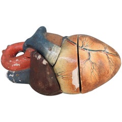 Papier Mache Anatomical Model of the Human Heart by Dr. Auzoux, circa 1880 8