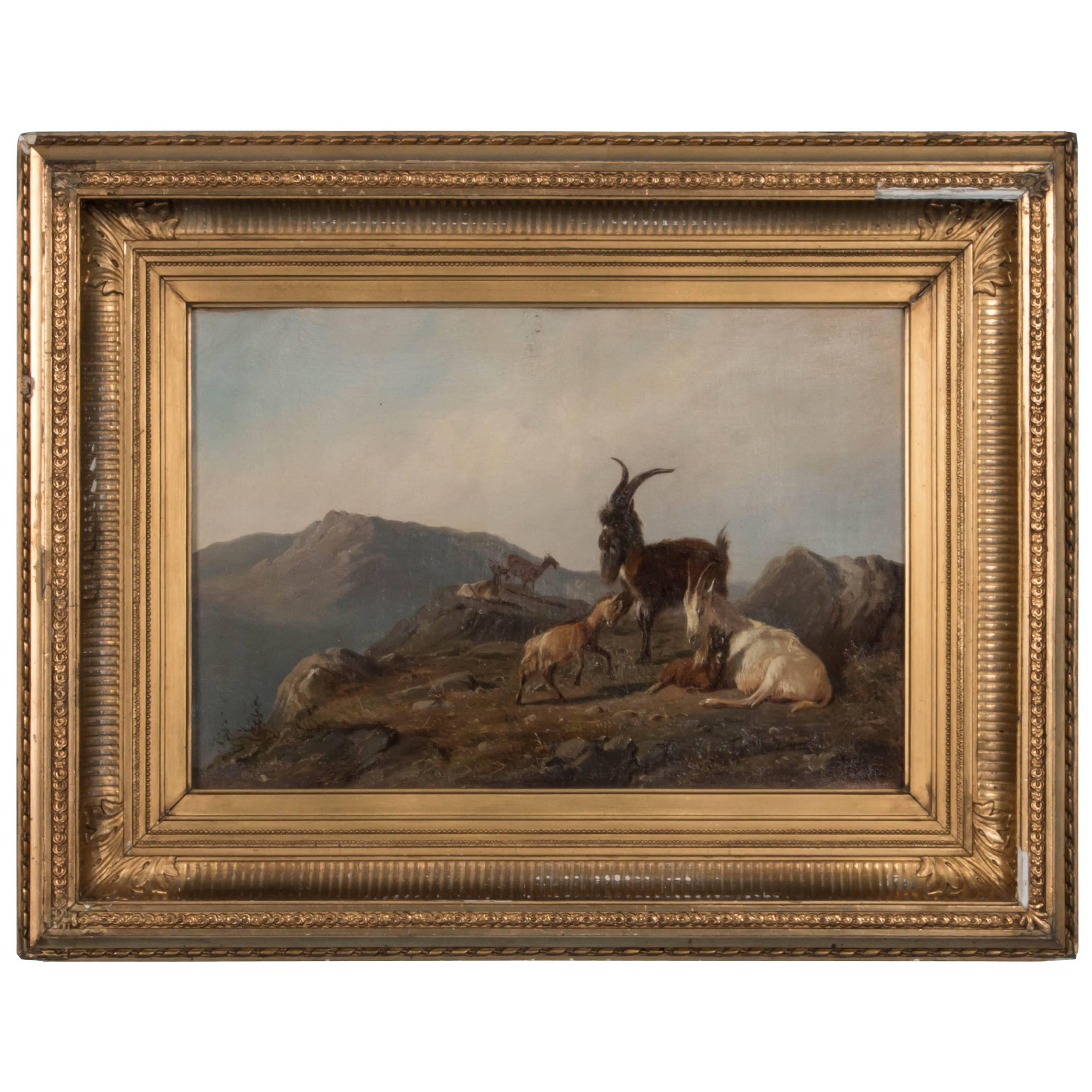 Antique 19th Century Oil Painting of Mountain Goats by Wilhelm Zillen