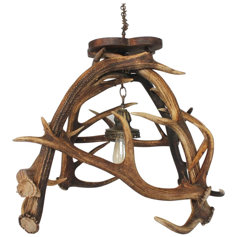 Early 20th Century Stag's Horn Chandelier For Sale