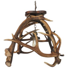 Early 20th Century Stag's Horn Chandelier