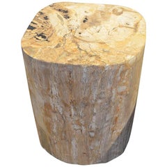 Andrianna Shamaris Petrified Wood Side Table