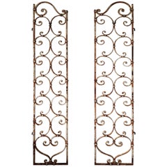 Mid-20th Century French Wrought Iron Doors