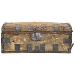19th Century Spanish Colonial Hide Covered Trunk 9