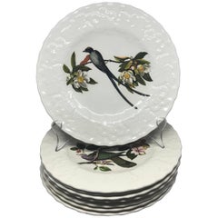 Set of Eight Audubon Bird Plates