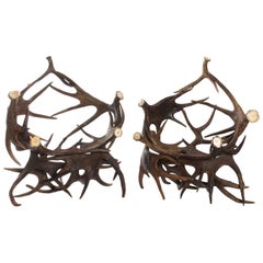 Pair of Antlers Lounge Chairs