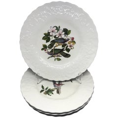 Set of Eight Audubon Bird Plates