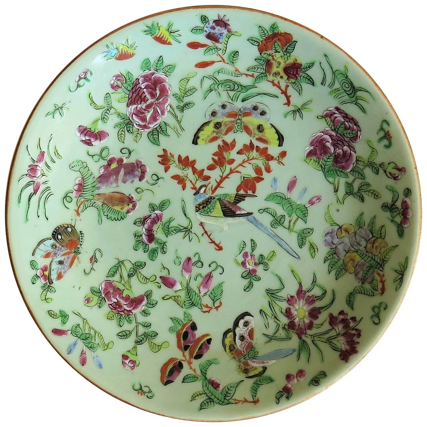 Chinese Porcelain Plate Celadon Glaze Hand-Painted butterflies, Qing Circa 1820