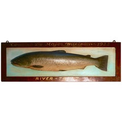 Antique Mounted Taxidermy of a Trout from the River Trent, 1922