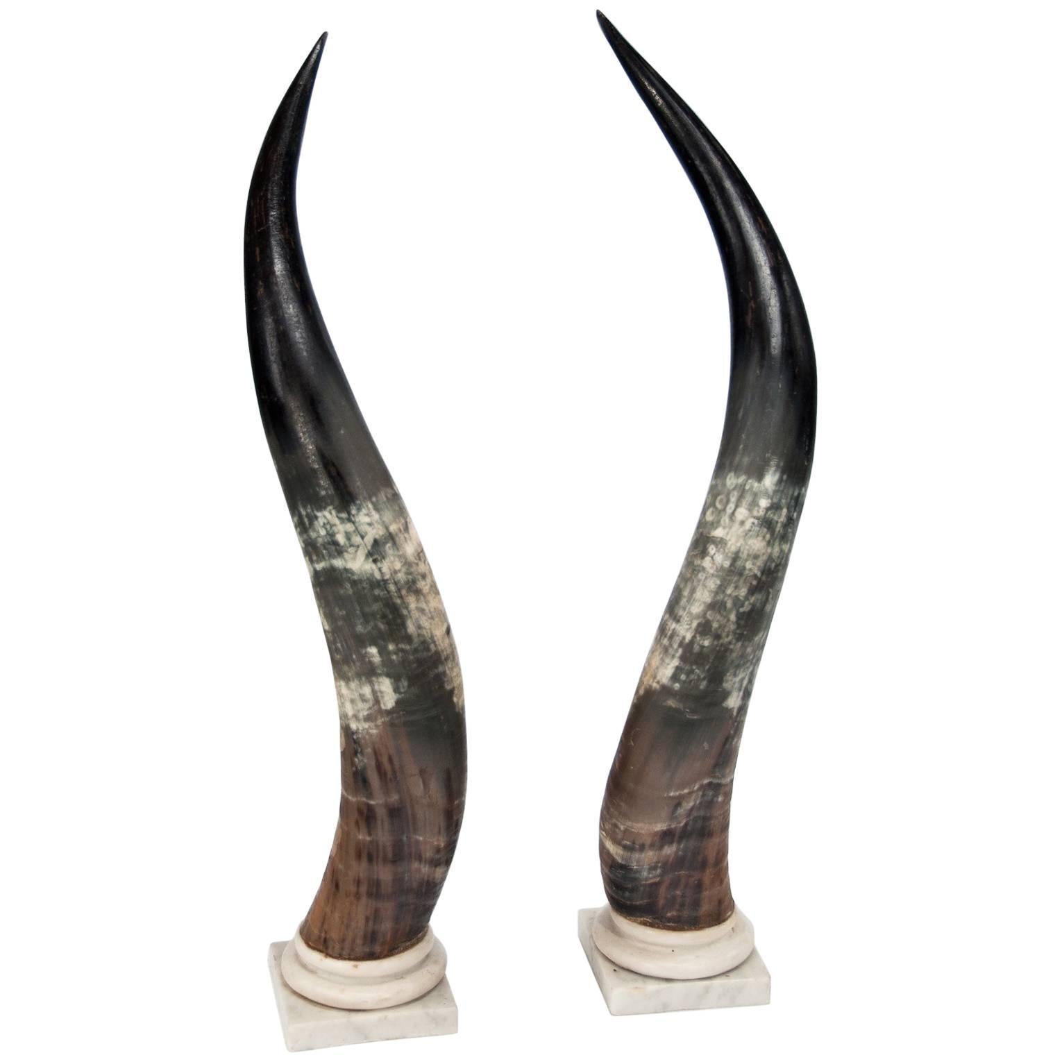 Large Decorative Pair of Antique Marble Mounted Longhorn Steer Horns