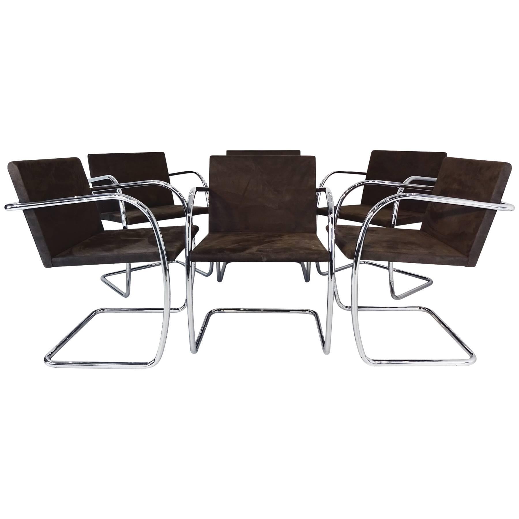 Set of Six Original Mies van der Rohe Brno Tubular Steel and Suede Chairs For Sale