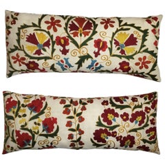 Pair of Vintage Suzani Pillows