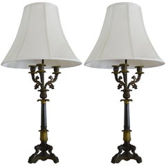 Antique Neoclassic Pair of 19th Century Bronze Candelabra Converted into Table Lamps