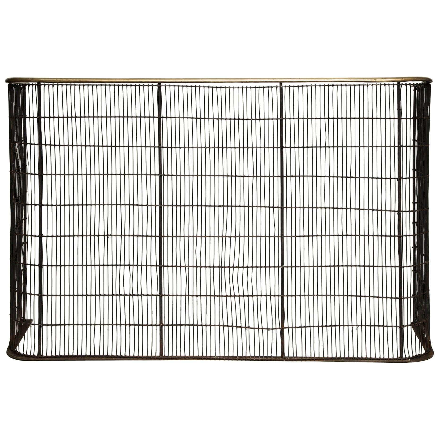Large and Impressive English Fire Screen