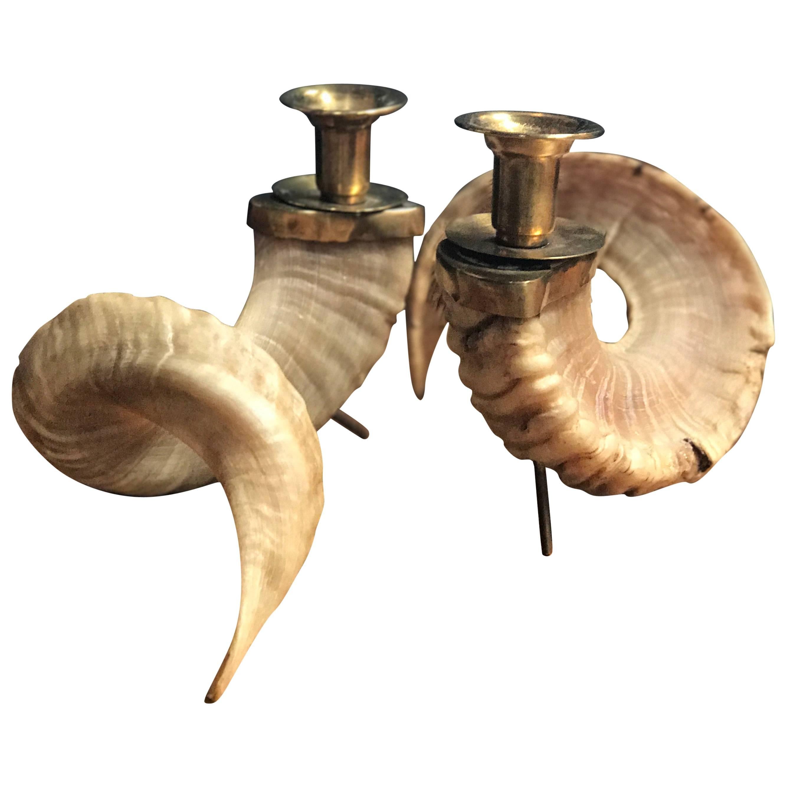 Large Horns Candlestick Holders with Brass