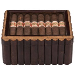 Birch Wood Glazed Cigar Humidor Box with Maple Lined Interior, 20th Century Vintage Birch Wood Glazed Cigar Humidor Box with Maple Lined Interior, 20th Century