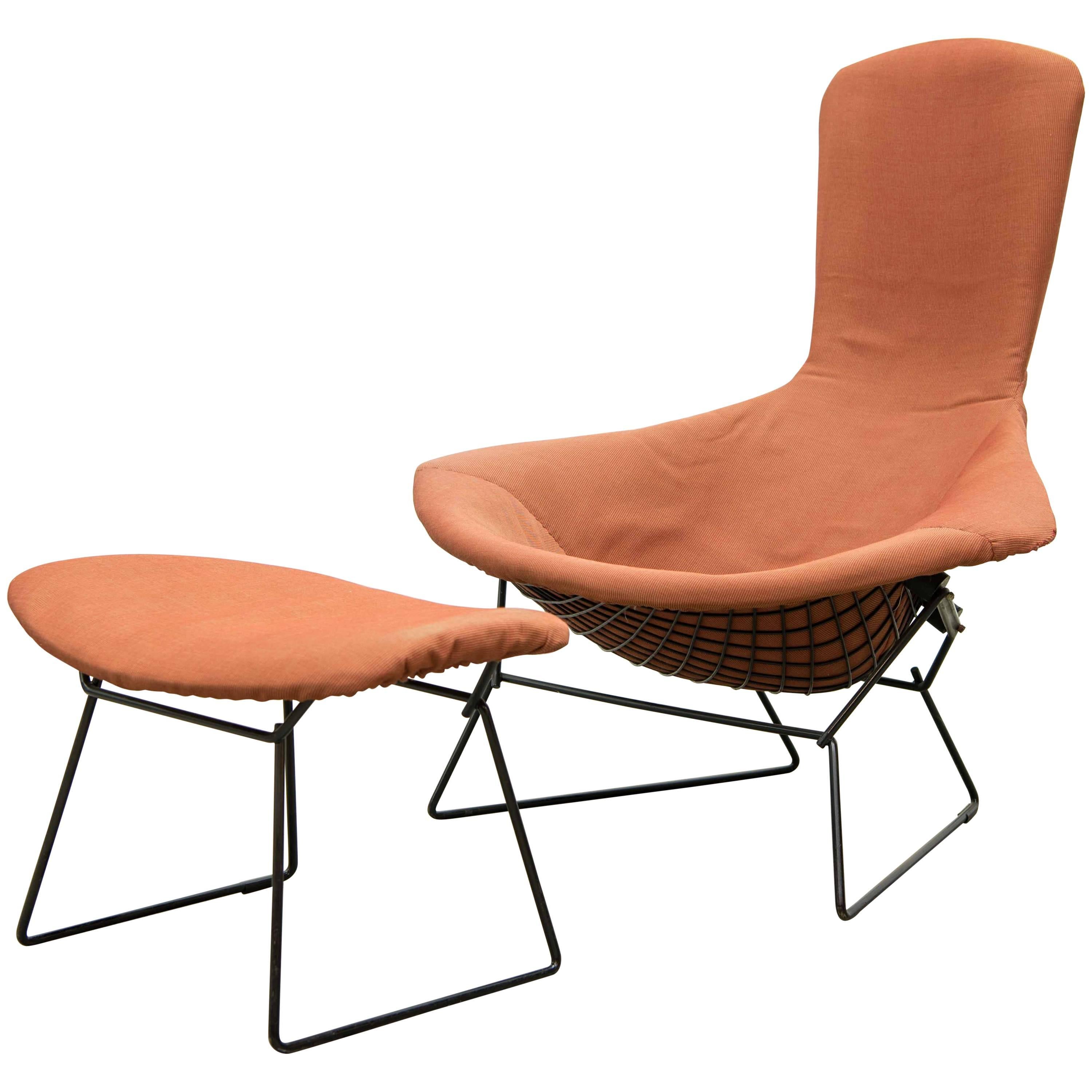 Bertoia wire bird chair with ottoman. Original fabric cushion in place. 
Cushion is connected to the wire with hooks and pins. All pieces have seen little use over the years. 
Wire painted black-no oxidation on the wire. Very nice condition.