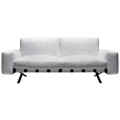"Fenix" Two-Seat Sofa Designed by Ludovica and Roberto Palomba for Driade