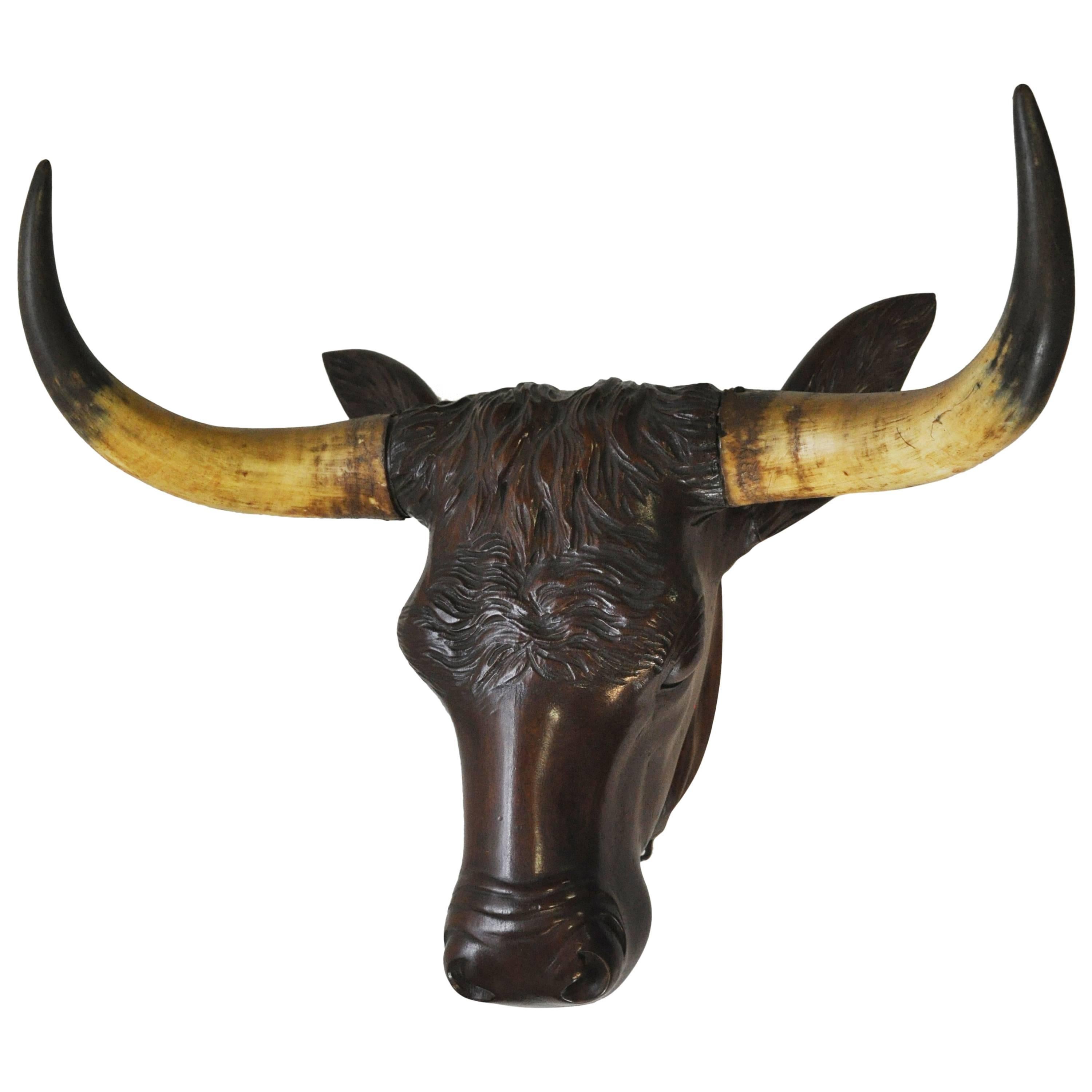 Mahogany Carved Bull Head from a Butchery, circa 1880 For Sale