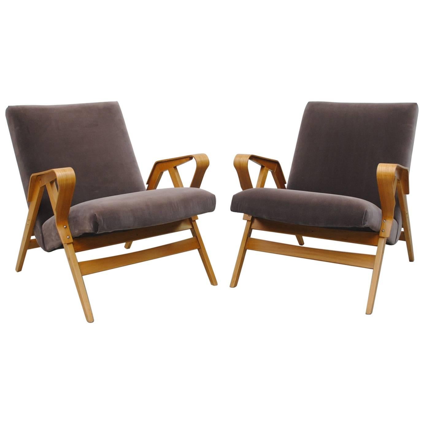 Pair of Czech Tatra Bent Plywood Lounge Chairs in Weimaraner Velvet