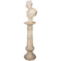 19ème siècle:: Buste en albâtre d'Apollon Belvédère par O. Scheggi
