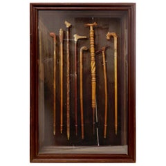Collection of Walking Sticks in Shadow Box 1