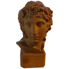 French Classical Terra Cotta Bust Signed R. D'Arly, Paris 11
