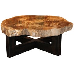 Large Petrified Wood Slab Coffee Table on Steel Mount