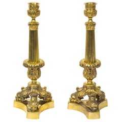 Antique 19th Century Pair of Louis XIV Style Gilt Bronze Candlesticks