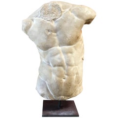 Gaddi's Torso, Plaster Bust, Copy in Scale 1/1