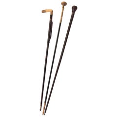 Group of Three Antique and Vintage Walking Sticks or Canes 12