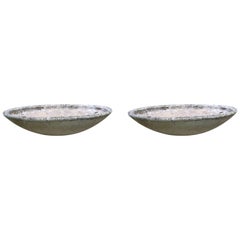 Pair of Extra Large Willy Guhl Saucer Planters
