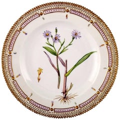 Royal Copenhagen Flora Danica Dinner Plate