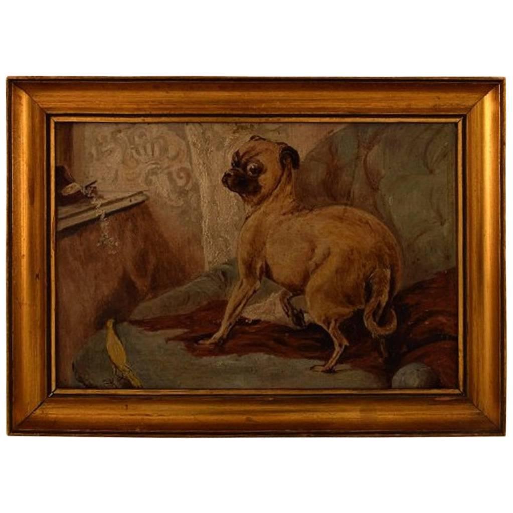Early 20th Century, Unknown English Painter Dog and Bird in Interior